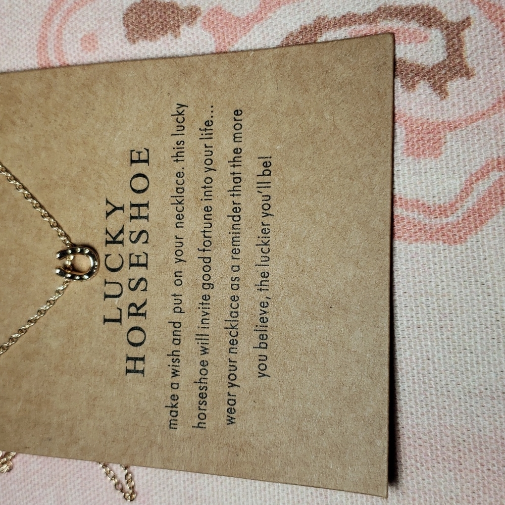 Lucky Horseshoe Necklace Horse Cowgirl Western Country Vaquera Dainty Minimalist - Picture 4 of 13